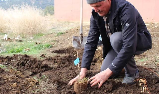 Antalya Büyükşehir’den çiftçiye tam destek
