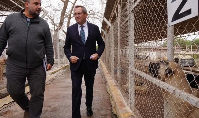 Balıkesir  Ayvalık can dostların yanında