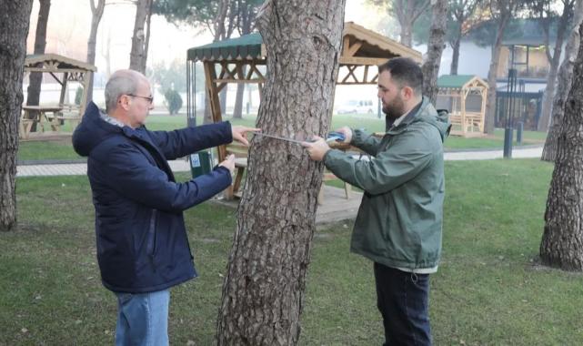 BTÜ’de orman envanterine katkı sağlayacak proje geliştiriliyor