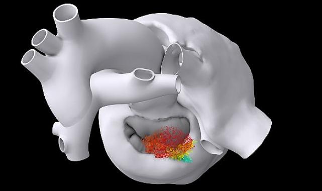 Dassault Systèmes’in FDA ile Ortak Çalışması: Klinik Deneylerde Sanal İkizlerin Kullanımına Yönelik Yenilikçi Bir Kılavuz