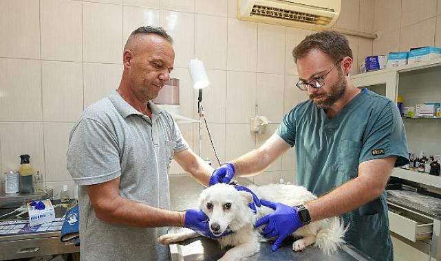 Gaziemir Belediyesi’nden 6 bin 222 can dosta şefkat eli