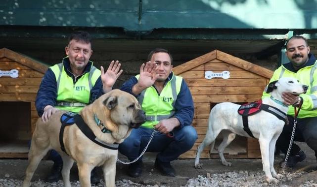 İETT’nin patili dostlar ailesi büyüyor