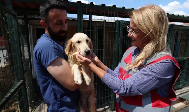 İstanbul Bakırköy her yönden sağlığa çalıştı