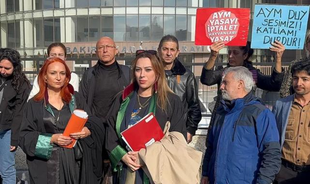 İstanbul Bakırköy’de köpeğe istismar davası sonuçlandı!