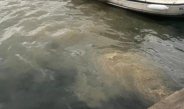 İstanbul Üsküdar’da atık su deşarjına inceleme!