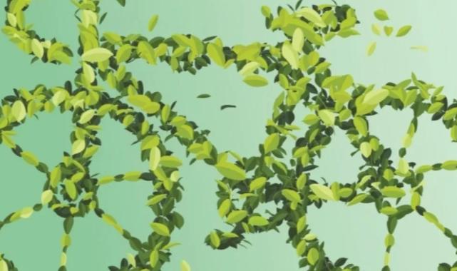 İzmir’de bisikletle pazar keyfi başlıyor