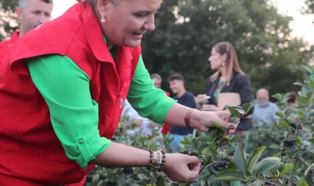 İzmit Belediyesi 2024 yılında da üretime yön verdi