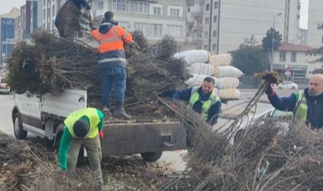 Kayseri Büyükşehir ‘yeşil Kayseri’ için çalışıyor