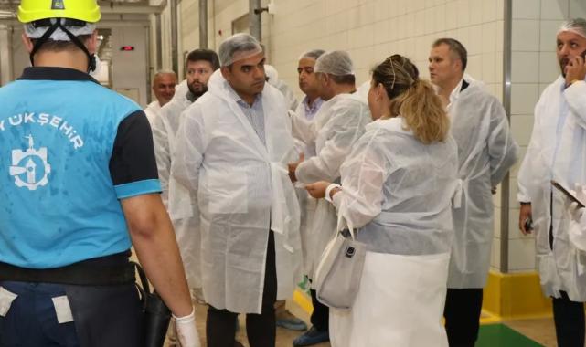 Kocaeli Büyükşehir Mezbahası’nda 6 bin 832 kesim yapıldı