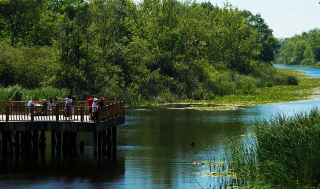 Longoz ve İl Ormanı’nın muhteşem doğası 2024’ün gözdesi oldu