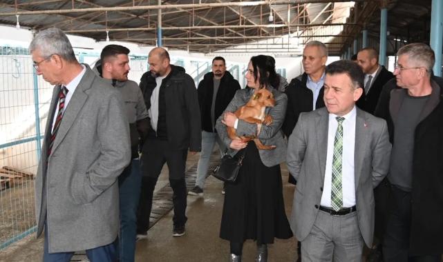 Manisa’da Sokak Hayvanları Komisyonu toplandı