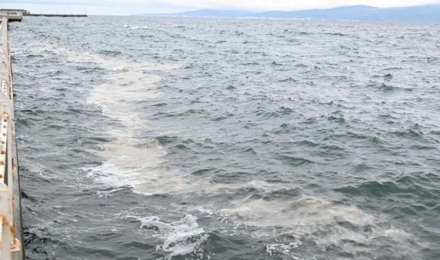 Marmara’daki müsilaj tehdidi Gemlik Körfezi’nden incelendi