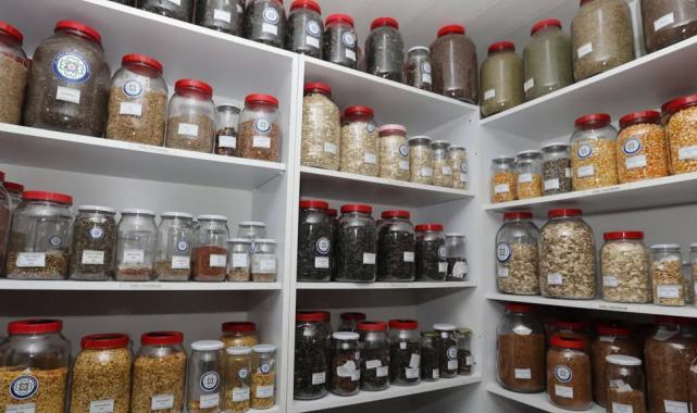 Muğla’da yerel tohum dağıtımı 3 Şubat’ta başlayacak