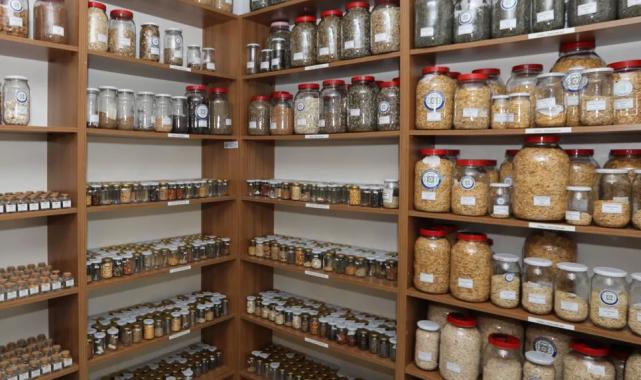 Muğla’nın tohumları Türkiye’nin topraklarıyla buluşuyor