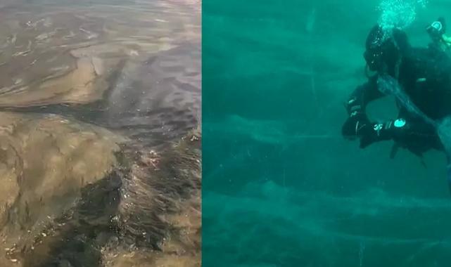 Prof. Dr. Sarı: İlkbaharda müsilaj Marmara’yı kaplayacak