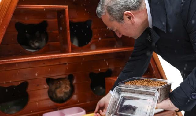 Sivas’ta can dostlara ‘sıcak’ proje