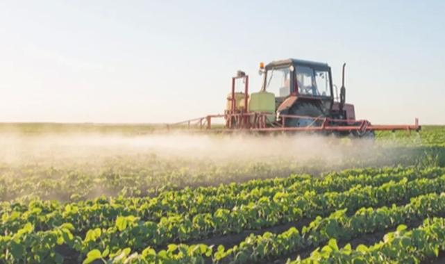 TARSİM’de en fazla buğday, arpa, ayçiçeği, fındık ve mısır sigortalandı