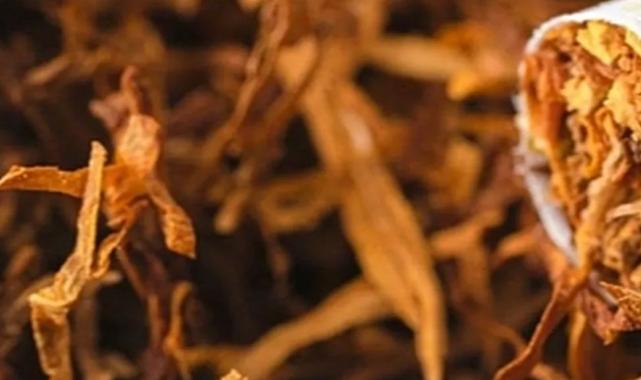 Yurt Dışı Üretici Fiyat Endeksi Aralık’ta da arttı… Yıllıkta tütün, aylıkta gıda ürünleri başı çekti