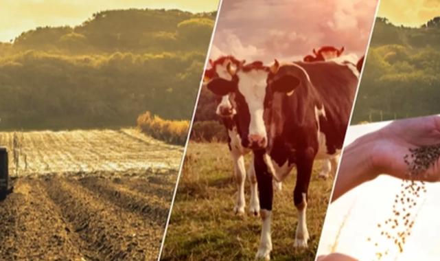 2,3 milyar TL tarımsal destek daha hesaplarda