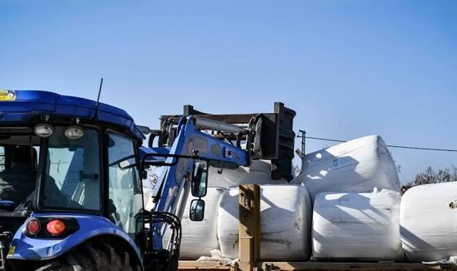 ABB’den üreticiye mısır silajı desteği