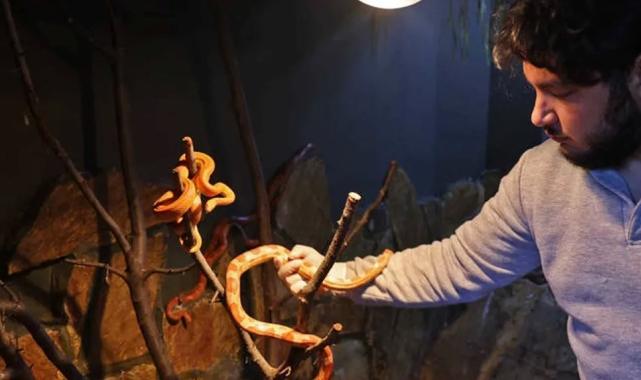 Antalya Doğal Yaşam Parkı’nda soğuk hava önlemi