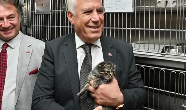 Bursa Büyükşehir’den can dostlar için önemli adım