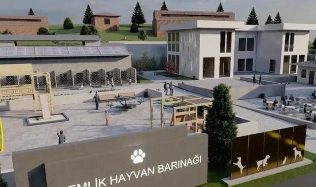 Bursa Gemlik Belediyesi patili dostlara sahip çıkıyor