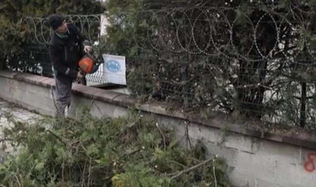 Bursa İnegöl’de ağaç budama çalışmaları sürüyor