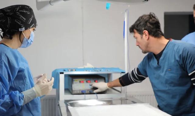 Bursa Mudanya’da sahipsiz hayvanlara şefkat