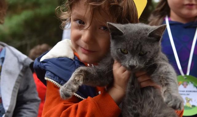 Bursa sahiplenilen hayvanların 1 yıllık muayenesi ücretsiz yapıyor