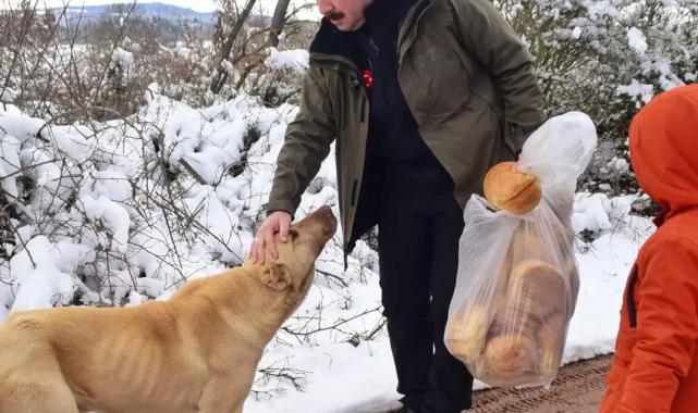Bursa Yenişehir’de yaban hayatına ‘kış’desteği!