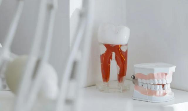 Diş hekimleri de 14 Şubat’ta iş bırakıyor! Mesleklerine olan sevgilerini eylemle gösterecekler!