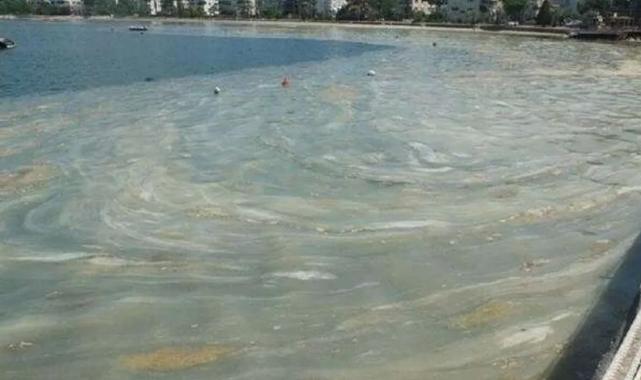 Dünyada müsilaj ne durumda?