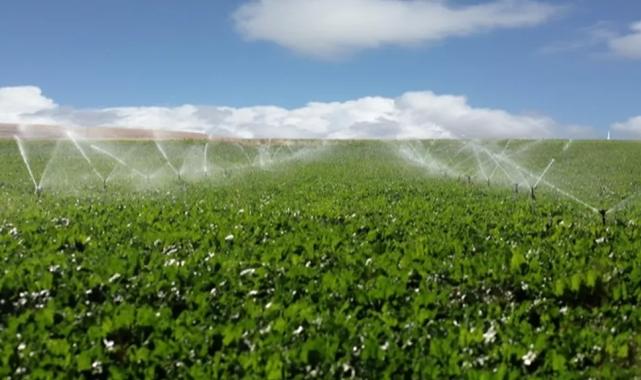 Erzurum’da 70 bin ton pancar üretimi