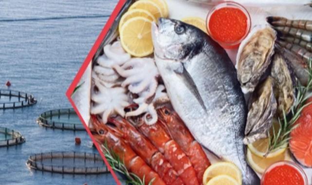 İhracatta levrek ve çipura ilk sırada