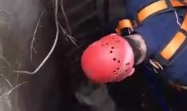 İstanbul Çatalca’da kuyuya düşen köpek kurtarıldı