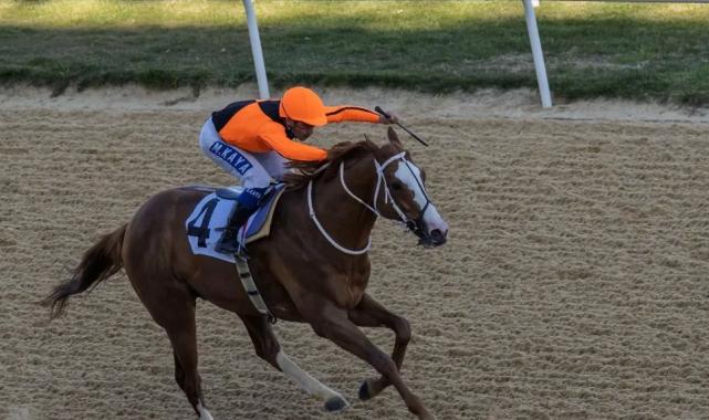 İzmir Büyükşehir Belediye Başkanlığı Koşusu’nu Wardenclyffe kazandı