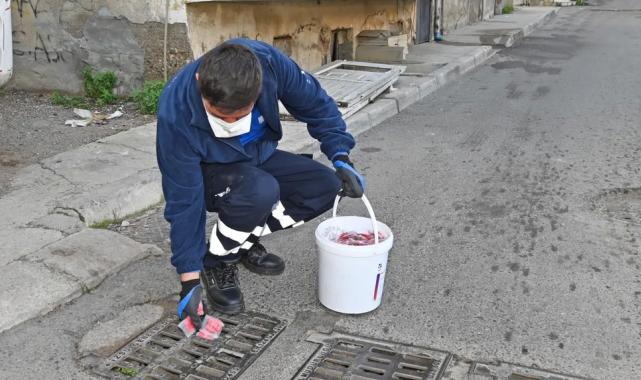İzmir Karabağlar’da erken dönem sinek mücadelesi başladı