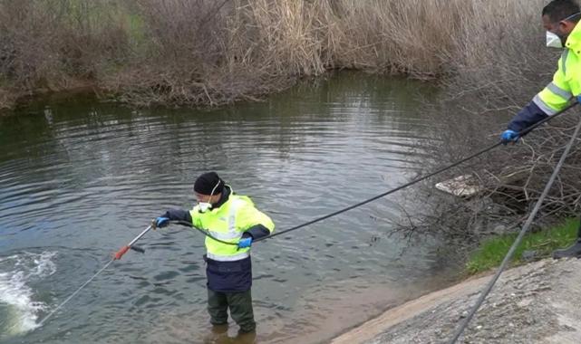 İzmir’de sivrisinek ve haşereyle mücadele sürüyor