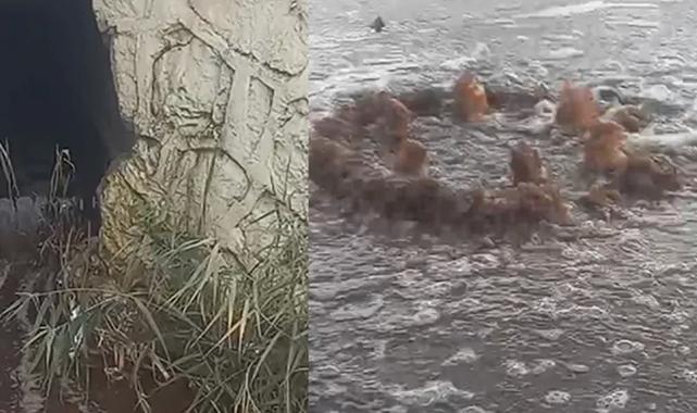 İzmir’e milyon liralık yeni bir atık su cezası daha!