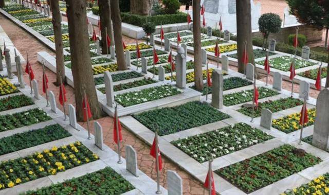 Kocaeli şehitliğinde çiçekler açtı