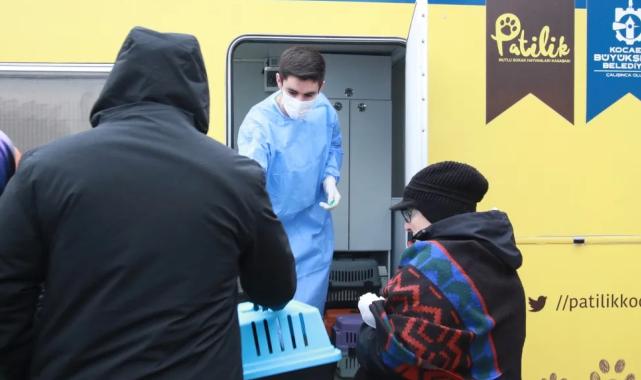 Kocaeli’de ‘Kısırlaştırma Karavanı’ dönemi