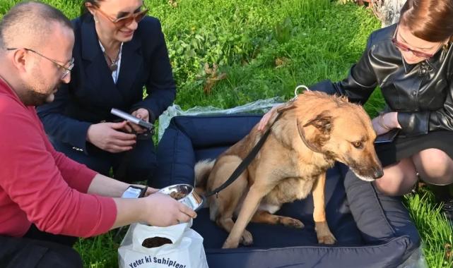 Manisa Büyükşehir’de hayvan sahiplenenlere destek