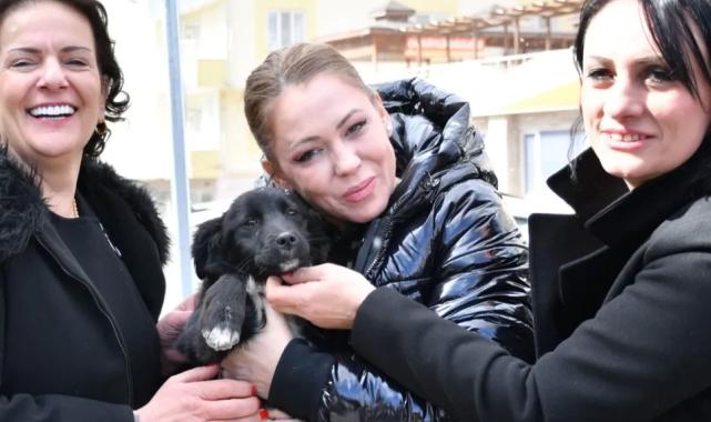 Manisa’da sokak hayvanları için ortak akıl