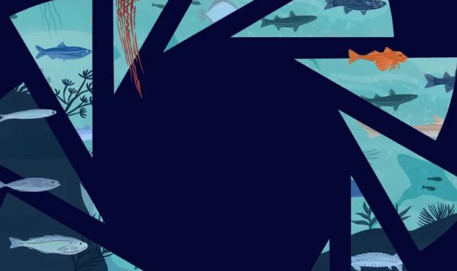 Marmara Belediyeler Birliği, 50. yıla özel ‘Marmara Denizi’ için toplanıyor