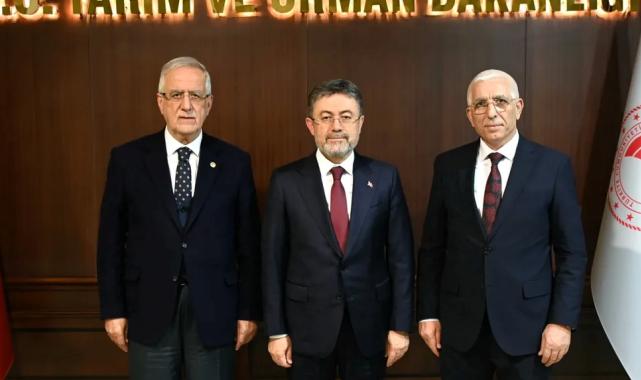 Marmarabirlik: Dane zeytine prim desteği kaldırılmamalı! Bakan Yumaklı’ya rapor sunuldu