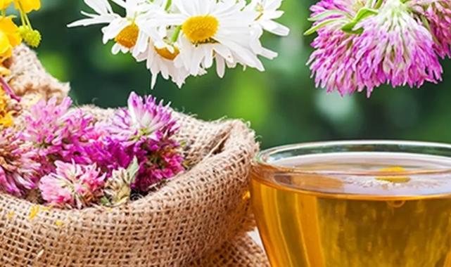 Midemize iyi gelen bitki çayları!