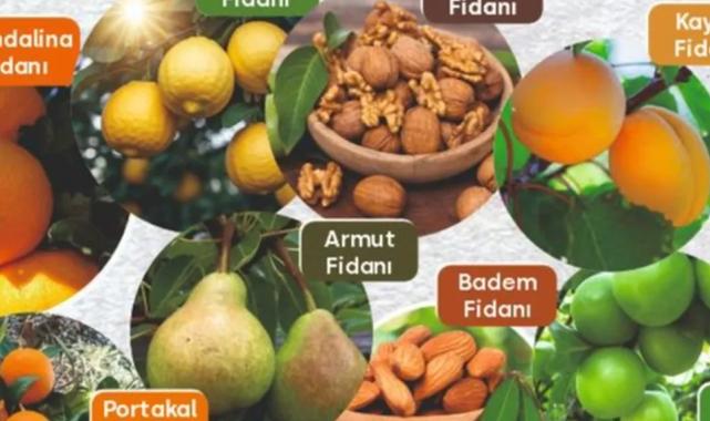 Muğla’da Milas Belediyesi tarımsal desteklemelerini sürdürüyor