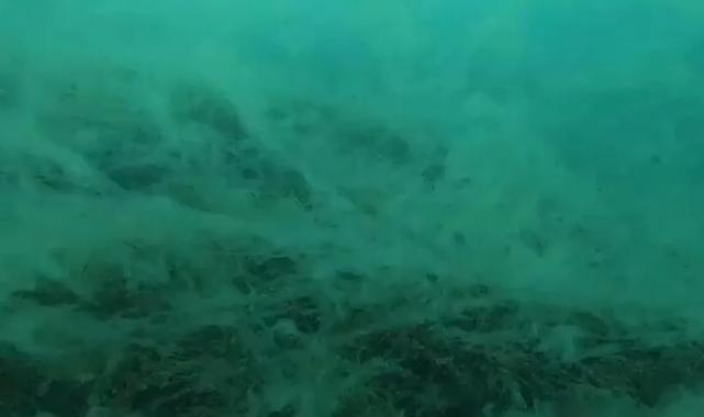 Müsilaj Saros Körfezi’nde!