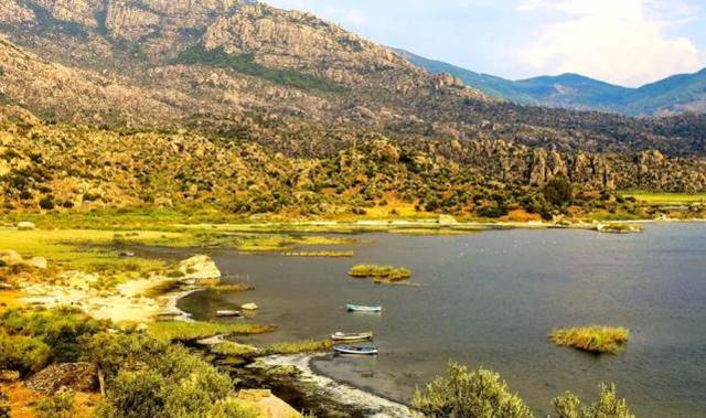 Proje Evi Kooperatifi’nden evrensel imza